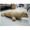 Image 4 : Stuffed baby seal pillow, ca. 1920 (3)