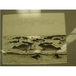 CHOICE on 3 Original pen and ink by Peter K. Omedelena from Teller Mission, Alaska image size 7-1/2"