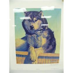 CHOICE on 5 signed and numbered Fred Machetanz prints: "Veteran of the Trail", 919 of 950, 18" x 14-