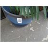 Image 2 : Blue Potted Silk Ferns - Pair