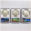 Image 2 : 1923-D Set [3] Silver Peace Dollar NGC AU55