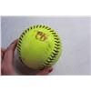 Image 2 : (8) Softballs