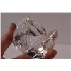 Image 3 : Crystal Clam