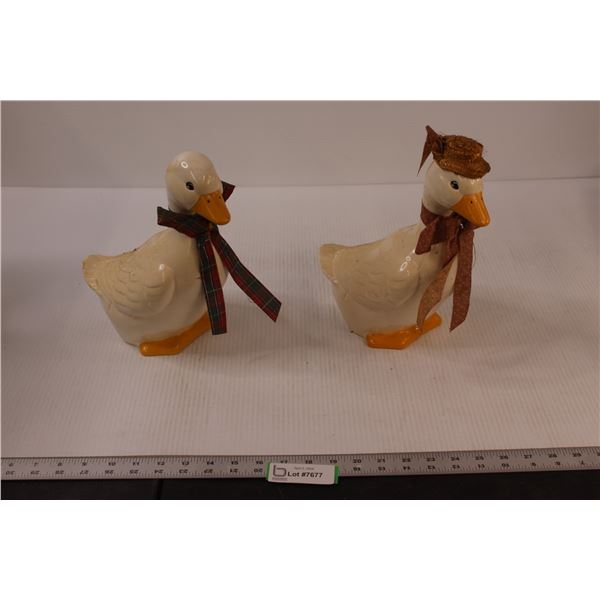 (2) Ceramic Houseware Ducks