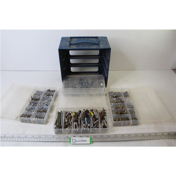 Plastic Organizer w/Four Cases of Assorted Nuts - Bolts - Screws