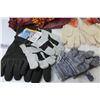 Image 5 : Zippered Vegas Bag - (10) Pair of Assorted Work Gloves - Lined Leather Mits