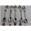 Image 3 : (21) Souvenir Spoons