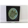 Image 1 : Framed Turtle Picture - 11" x 13"
