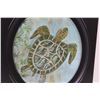 Image 2 : Framed Turtle Picture - 11" x 13"