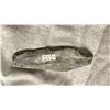 Image 2 : ORTHOCERAS FOSSIL PLAQUE 8"  RETAIL $480