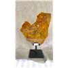 Image 2 : AGATE SLICE 8" RETAIL $780