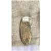 Image 2 : ORTHOCERAS FOSSIL SPECIMEN RETAIL $200