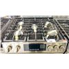 Image 2 : INSIGNIA GAS STOVE WITH CONVECTION OVEN