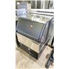 Image 1 : MAXX ICE ICE BOX