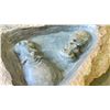 Image 2 : AFRICAN CARVED STONE HIPPO SCULPTURE