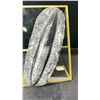 Image 2 : ORTHOCERAS FOSSIL SPECIMEN RETAIL 680