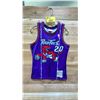 Image 1 : NEW MITCHELL AND NESS NBA HARDWOOD CLASSICS TORONTO RAPTORS DAMON STOUDAMIRE 1995-96 JERSEY SIZE S