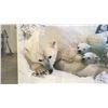 Image 2 : FRAMED POLAR BEAR AND CUBS PICTURE APPROX 28.5X35"
