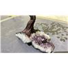 Image 2 : AMETHYST TREE APPROX 10" RETAIL $1800