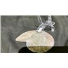 Image 2 : AMMONITE FOSSIL RETAIL $800