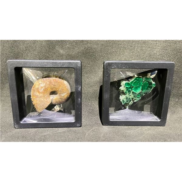 MALACHITE RETAIL $380, AND AMMONITE FOSSIL RETAIL $180