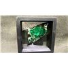 Image 2 : MALACHITE RETAIL $380, AND AMMONITE FOSSIL RETAIL $180