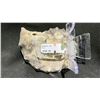 Image 2 : AMMONITE FOSSIL RETAIL $480