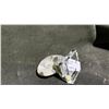 Image 2 : ORTHOCERAS AMMONITE FOSSIL RETAIL $480