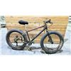 Image 1 : UNKNOWN MAKE 7 SPEED FAT TIRE BICYCLE
