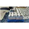Image 2 : PALLET OF CINDER BLOCKS