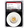 Image 1 : 3.48 Gram Yukon Gold Nugget NGC Vaultbox Unvaulted