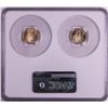 Image 2 : Set of 2021 Type 1 & Type 2 $5 American Gold Eagle Coins NGC MS70