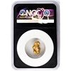 Image 2 : 3.22 Gram Yukon Gold Nugget NGC Vaultbox Unvaulted