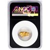 Image 2 : 2.00 Gram Yukon Gold Nugget NGC Vaultbox Unvaulted