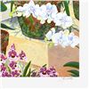 Image 2 : John Powell "Orchids and Sunlight" Limited Edition Serigraph on Paper