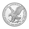 Image 3 : American Eagle 2023 One Ounce Silver Proof Coin