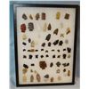 Image 1 : Native American Artifact Case: 71 pcs, Northern Plains projectile points and pieces