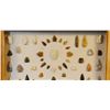 Image 3 : Native American Artifact Frame: 105 pcs., assorted knives, points and scrapers, Dago Hill, Fort Shaw