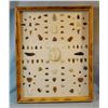 Image 1 : Native American Artifact Frame: 97 pcs., assorted knives, points and scrapers, Sun & Smith River are