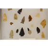 Image 2 : Native American Artifact Case: 33 points/arrowheads found at JC Adams Kill Site, Sun River, MT, 1960