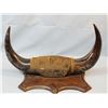 Image 3 : Buffalo horn rack, 17" spread, old cloth covered, made by Crow Indians to sell to tourists and at tr