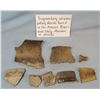 Image 2 : 8 pcs fragmented pottery shards, found on Missouri River, ND