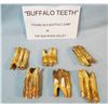 Image 2 : 9 pcs: (5) Assorted bison teeth, Sun River, MT and (4) fire rocks from camp fires