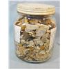 Image 2 : Several hundred Native American stone chippings, in 10" jar