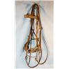 Image 2 : Fancy studded bridle w/ Buermann bit