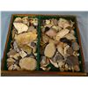 Image 1 : Native American Artifact Frame: 100+ pcs., stone tools, found Great Falls, MT area
