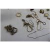 Image 2 : Assorted Necklaces and Earrings - As Is