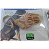 Image 4 : (3) Nylon Muzzles (size xs/tp) - Dog Muzzle (size 1 - small)