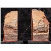 Image 2 : Red Petrified Wood Bookends [178764]