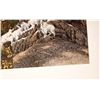 Image 2 : Bev Doolittle Prints: Sacred Circle & Prayer for the Wild Things [139916]